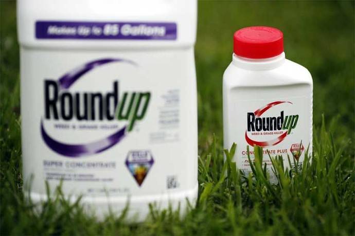 El glifosato se utiliza en Roundup, un herbicida muy extendido, de la multinacional Monsanto. 