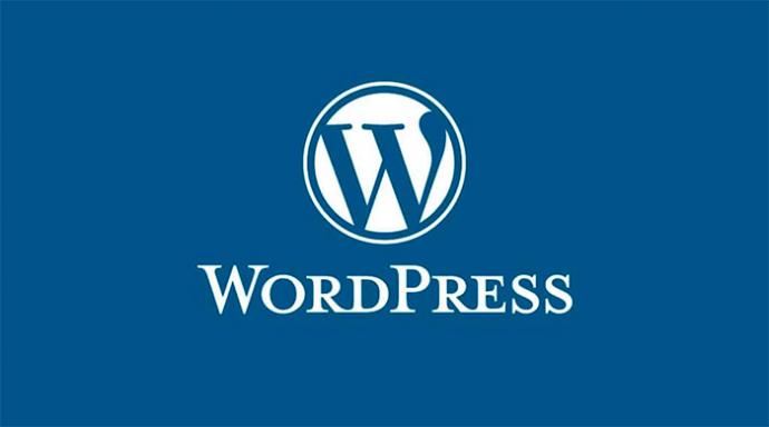¿Cómo un hosting WordPress profesional puede potenciar tu página web y mejorar su rendimiento?