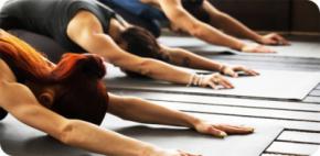 Clínicas multidisciplinares: una nueva forma de entender la salud integral