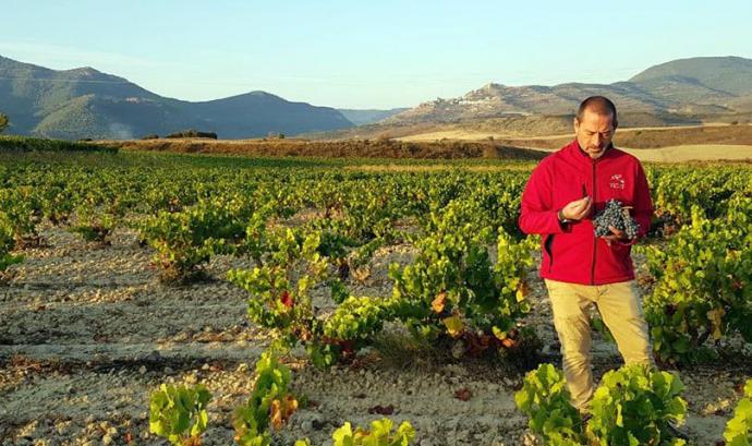 Juan Glaría, enólogo de la bodega navarra perteneciente a Bodegas Masaveu