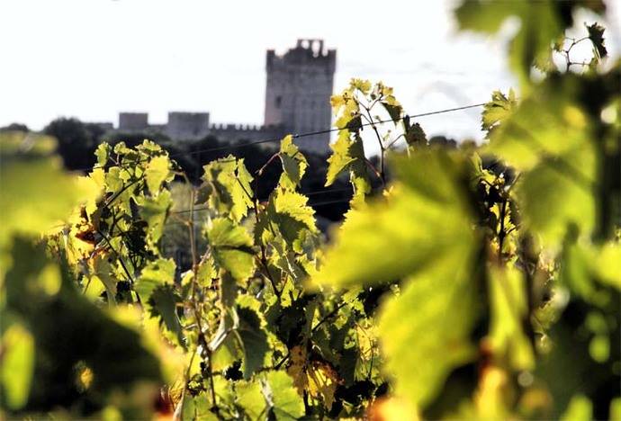 Medina del Campo reivindica su papel protagonista en el Ruta del Vino de Rueda