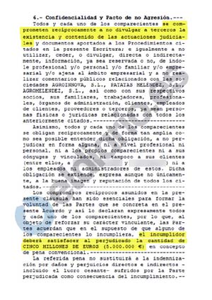 Cinco millones por desvelar detalles de la mansión: el pacto de silencio del marido de la presidenta de las Cortes de Castilla y León