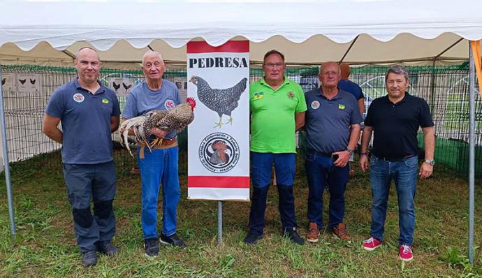 En Cantabria hay censadas casi un millar de gallinas pedresas de 60 propietarios