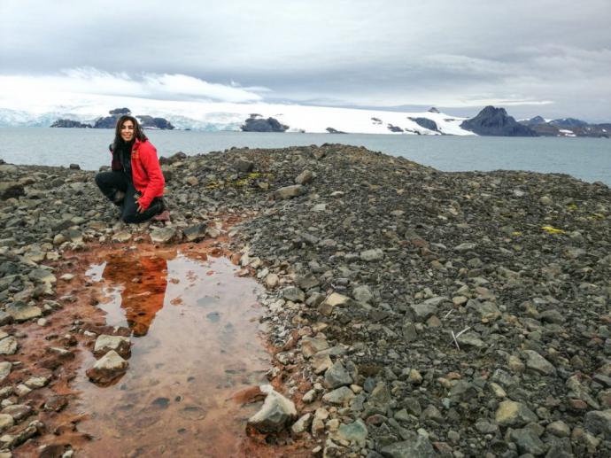 Investigadores de Chile y México estudian diversidad microbiana de suelos antárticos