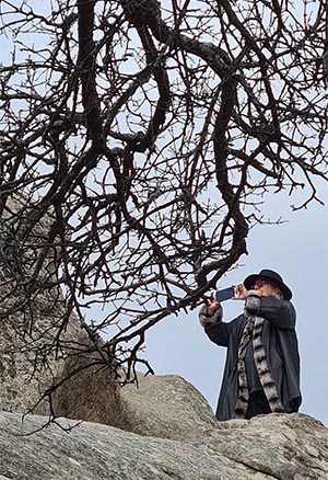 El Escorial, El Cedro del Líbano, La Silla de Felipe Ii, Juan Yoc y El Real Monasterio