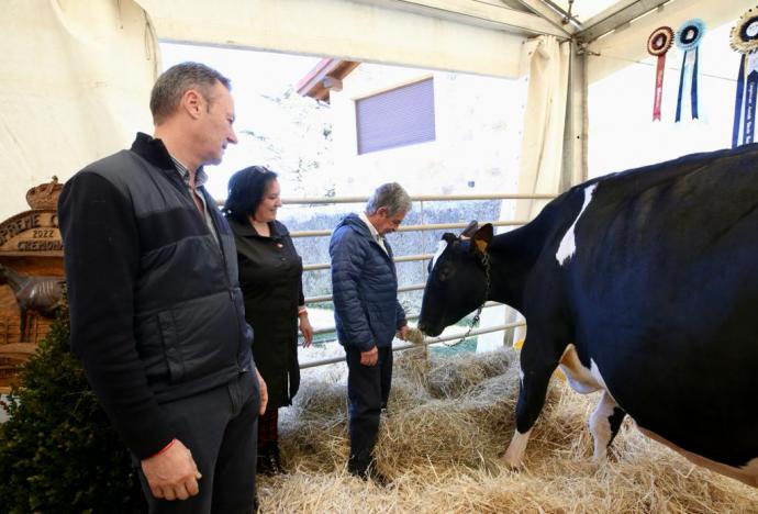 Trasierra acogió la VI Feria de la Leche, que contó con la mejor vaca de Europa de la raza frisona.