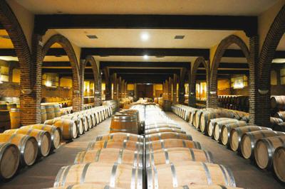 Bodegas Marqués de Griñón abre sus puertas al público