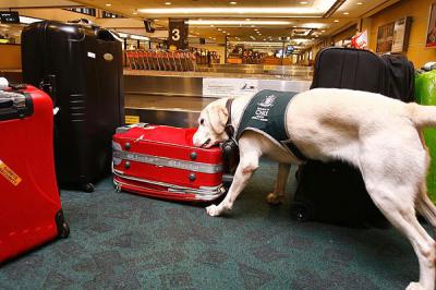 SAG busca reducir tiempos de espera en aeropuerto de Santiago de Chile