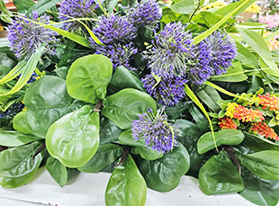 Flores silvestres