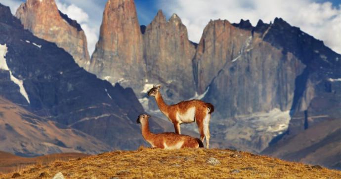 Google se suma a las celebraciones por los 60 años del Parque Nacional Torres del Paine