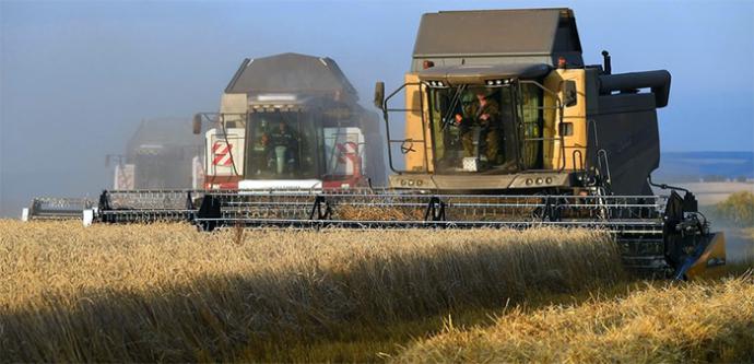 La Dependencia al trigo norteamericano es una amenaza a la soberanía alimentaria colombiana