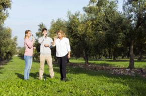 Mallorca presenta su oferta cultural, gastronómica y de naturaleza en INTUR