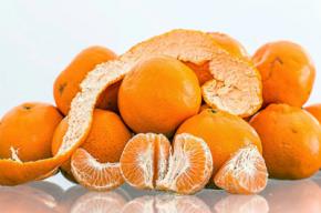 Exportación y consumo de mandarinas Orri argentinas en el mercado europeo