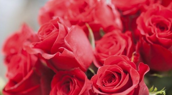 Escoge los mejores diseños florales para celebrar San Valentín