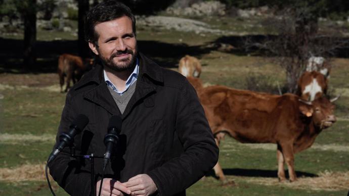 El presidente del PP, Pablo Casado, este viernes en una explotación extensiva en Las Navas del Marqués (Ávila). Mundarra (Foto cedida por el PP)