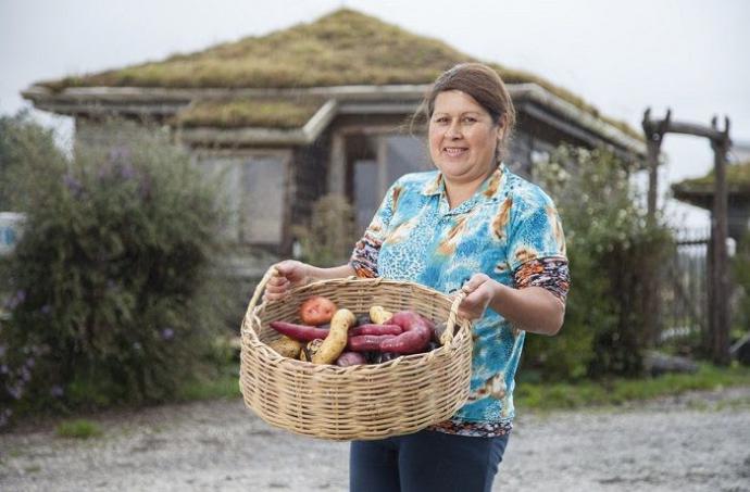 Las Patatas (Papas) nativas chilotas, patrimonio de la Humanidad