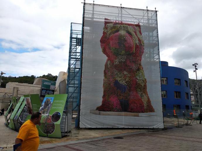 La popular escultura bilbaína “Puppy” cambia de vestuario