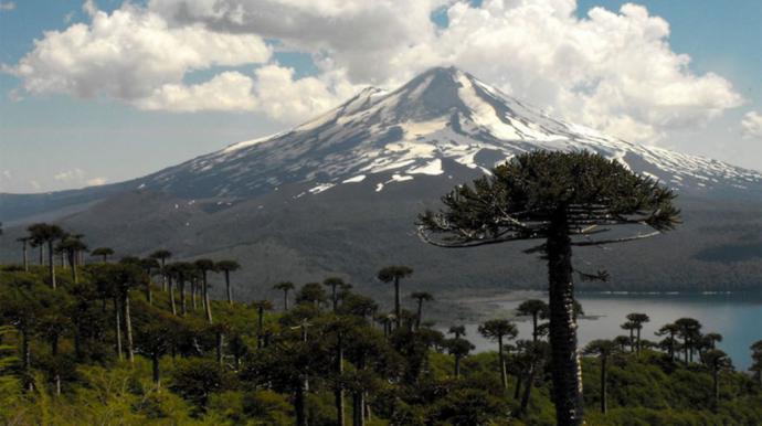 Turismo para el impulso de la Araucanía