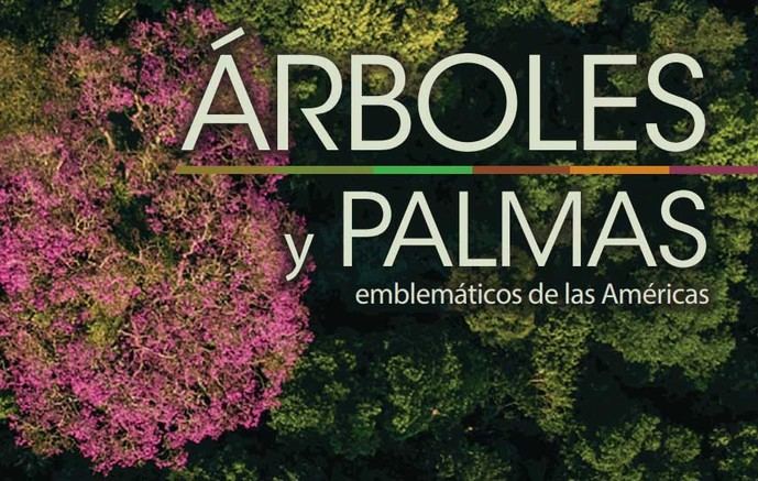 IICA y CATIE lanzan catálogo sobre árboles y palmas emblemáticas de las Américas