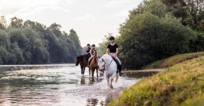 Vive Mallorca a caballo: experiencias ecuestres con sabor local en el norte de la isla