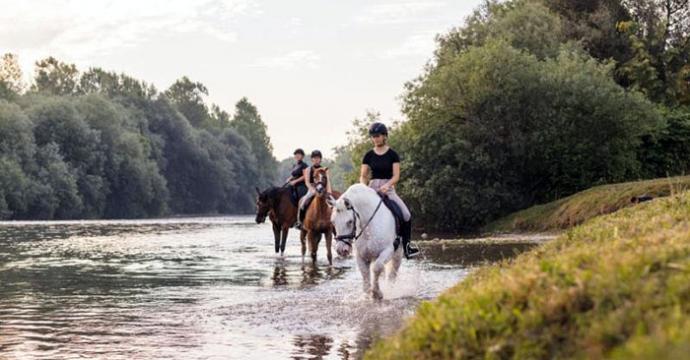 Vive Mallorca a caballo: experiencias ecuestres con sabor local en el norte de la isla