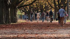 España se apunta a la defensa del uso de la bicicleta en la pandemia, tras semanas obviando su relevancia internacional