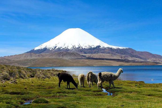 Con un tramo de 93 Km finaliza la mayor obra vial de Ruta Andina en Altiplano chileno