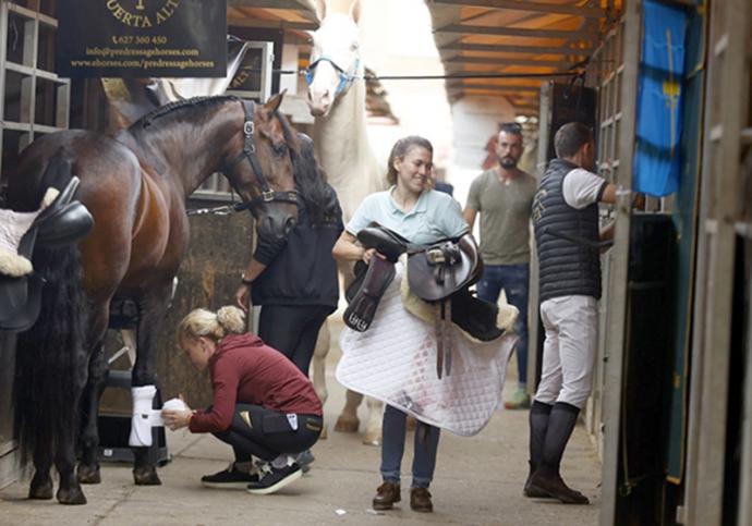 La trigésimo segunda edición del Salón Internacional del Caballo en Sevilla