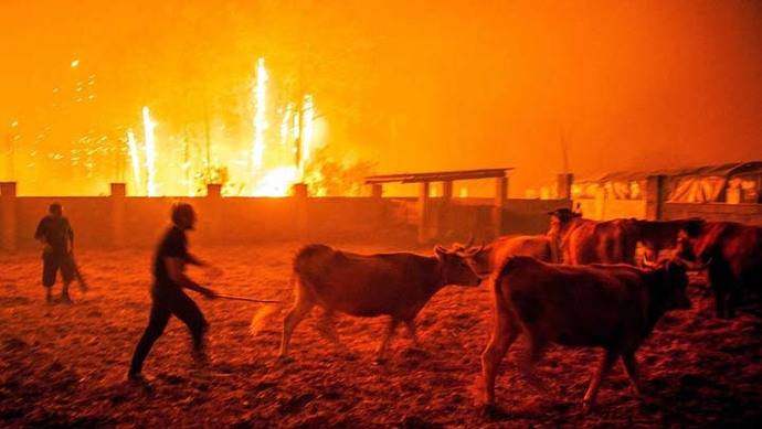 Los incendios más graves sufridos en Portugal desde 2003