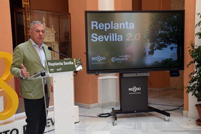 El Ayuntamiento presenta Replanta Sevilla 2.0, una plataforma para impulsar la reforestación urbana
