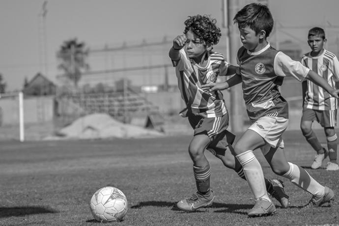 (crédito foto: pixabay.com – imagen de referencia)
