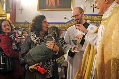 Bendición de animales en la Divina Pastora de Santa Marina de Sevilla