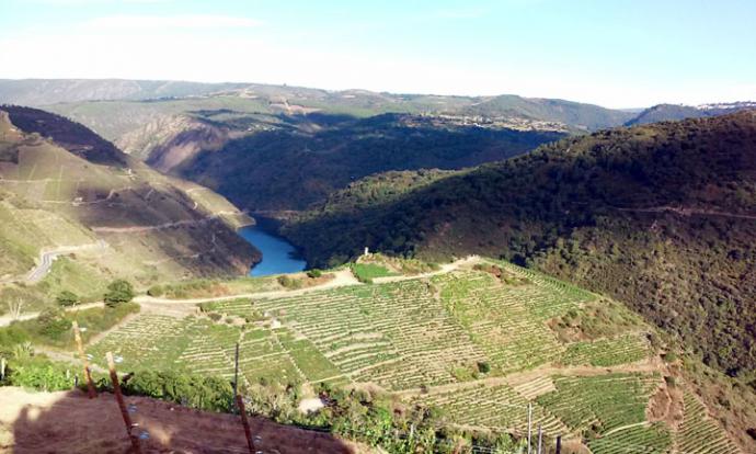 La Ribeira Sacra aspirar a ser declarada Patrimonio Mundial de la Unesco