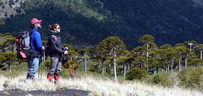 Anuncian licitación de centro de montaña y esquí en Parque Villarrica, Chile