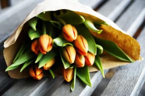 El papel de flores y plantas en las relaciones personales en las grandes ciudades