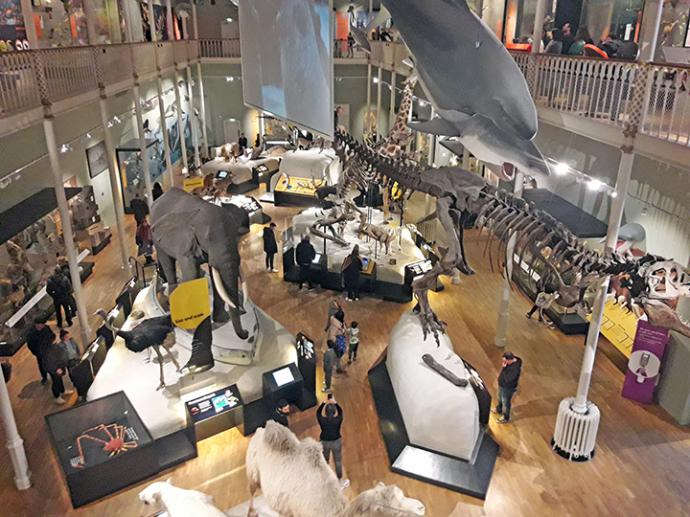 El Museo Nacional de Escocia es un museo de historia que une en el mismo lugar a un Tyrannosaurus Rex, joyas, obras de arte y a la oveja Dolly