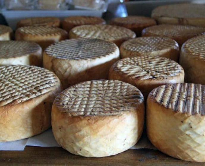 Queso de cabra majorero en Fuerteventura en Canarias 