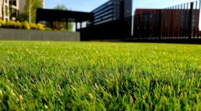 Las instalaciones de césped artificial se disparan durante primavera