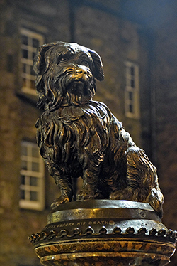 Bobby Greyfriars, el can más famoso de Escocia y un ejemplo de fidelidad