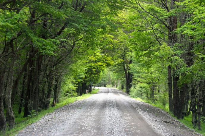 Tres destinos irresistibles para conocer la Carretera Austral en Chile