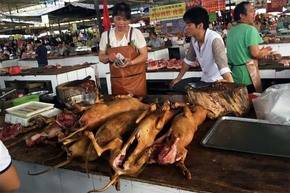 Consumidores de carne de perro defienden su fiesta en China