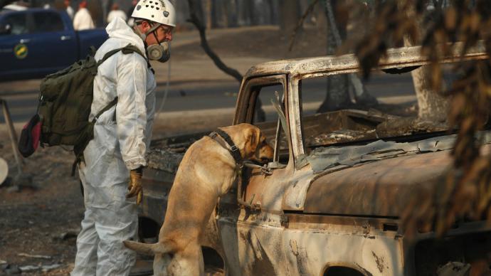 Balance de muertos por incendios en el norte de California sube hasta los 81
