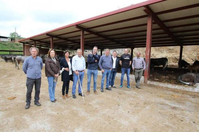 La calidad de la carne de vaca tudanca, raza autóctona de Cantabria