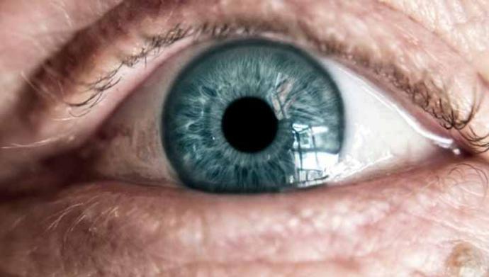 Ayudas visuales mejoran la calidad de vida del paciente con glaucoma