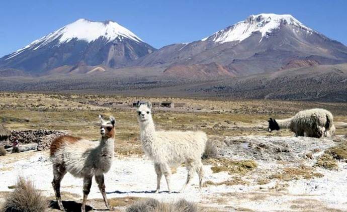 'Sernatur Arica y Parinacota' inició campaña de vacaciones de invierno para promover llegada de turistas