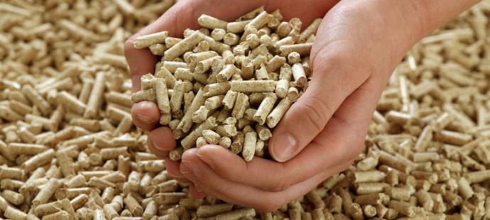 Pellets: un combustible económico y 100% ecológico