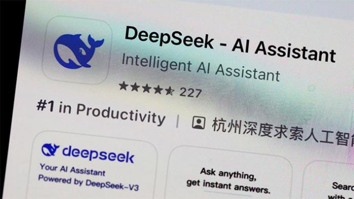 Deep Seek A Profundidad