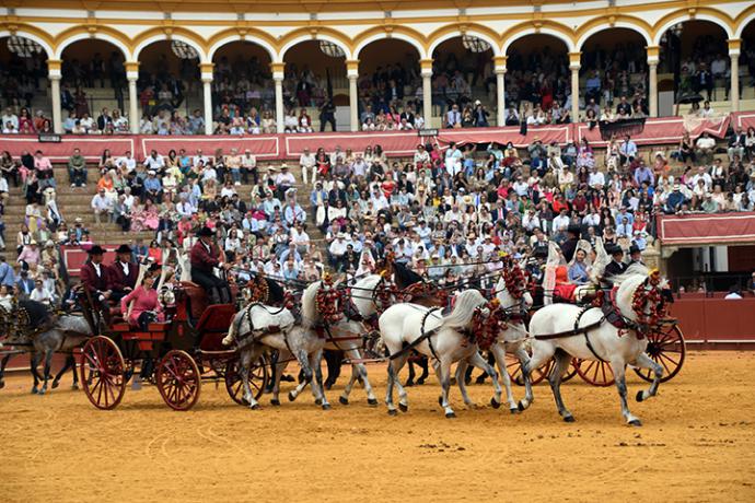 Desde Estados Unidos a la Maestranza , el mundo del enganche rinde culto a Sevilla
