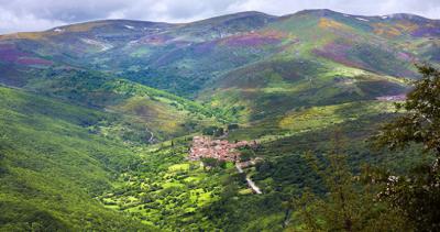 Abierta inscripción para participar en una nueva convocatoria del Programa Salvia en la Montaña Palentina
