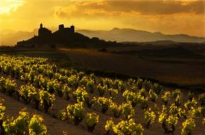 Impacto de los Aranceles de EE. UU. en el vino español: Retos y oportunidades logísticas